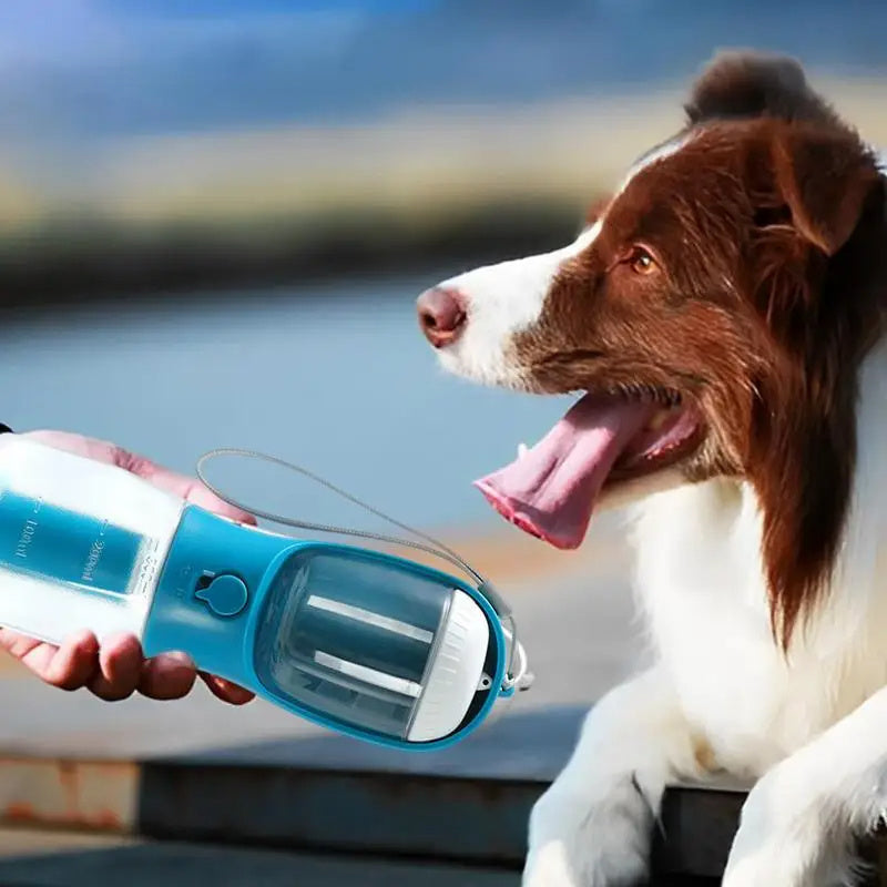 Dog Water Cup Drinking Food Garbage