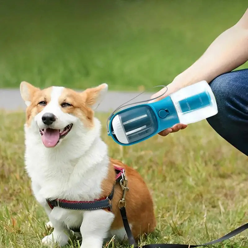 Dog Water Cup Drinking Food Garbage